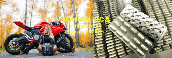 ПСИЛОЦИБИНОВЫЕ ГРИБЫ Покров