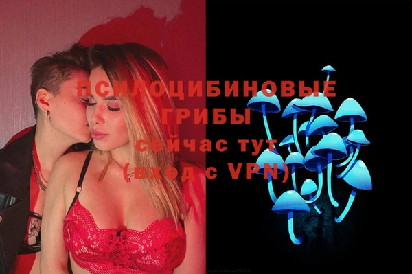 MESCALINE Покачи